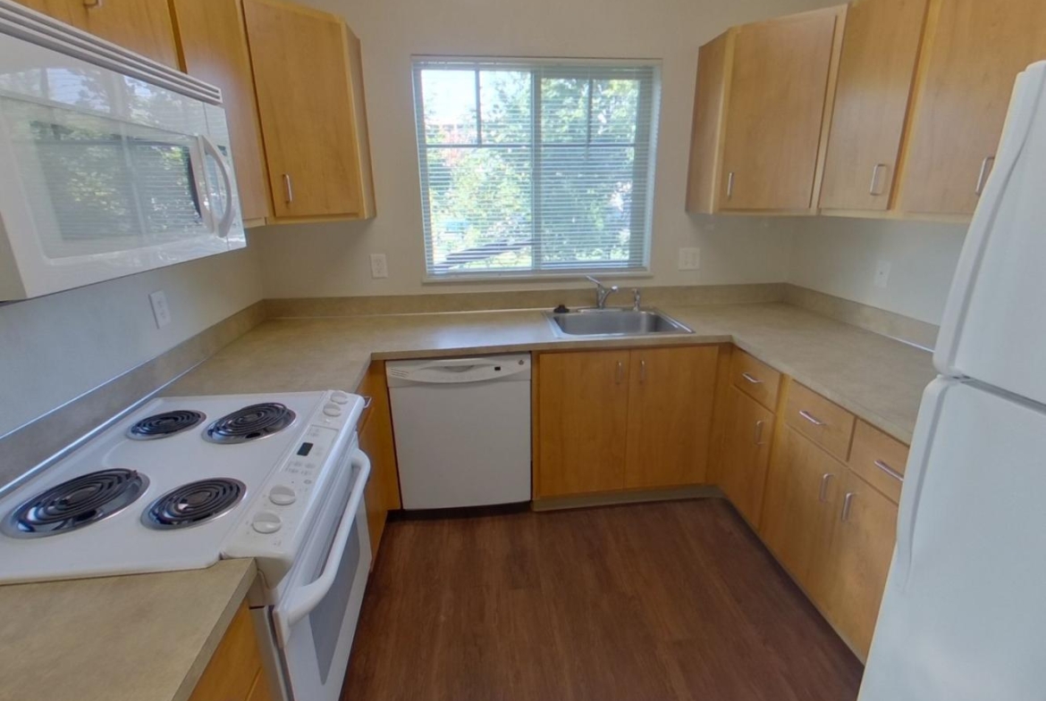 1448 Hilyard Street #11 | 3