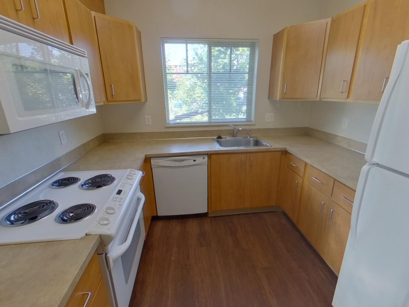 1448 Hilyard Street #11 | 3